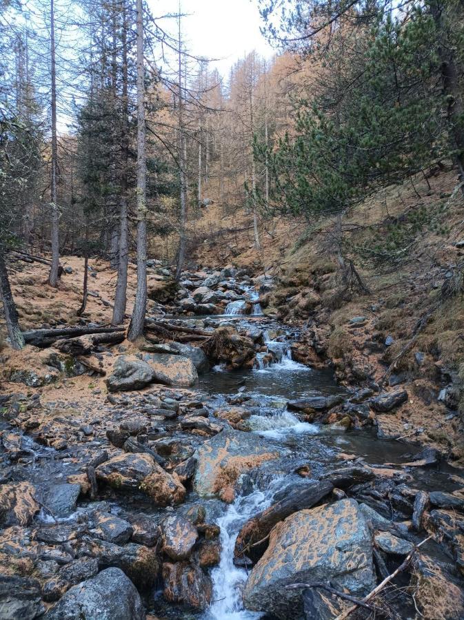 Les Hauts Du Roux Abriès Dış mekan fotoğraf