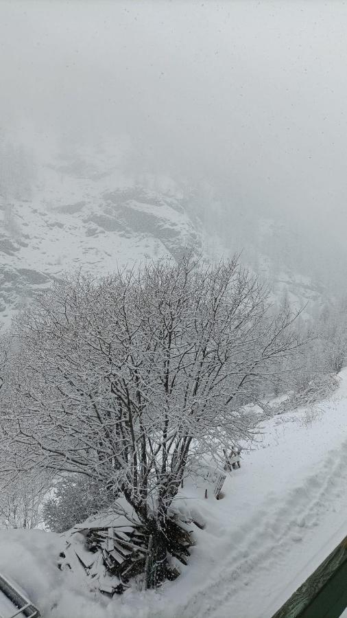 Les Hauts Du Roux Abriès Dış mekan fotoğraf