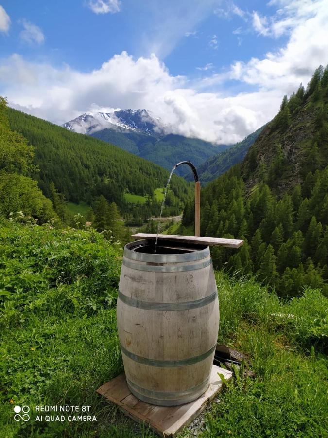 Les Hauts Du Roux Abriès Dış mekan fotoğraf
